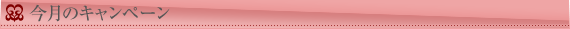 今月のキャンペーン